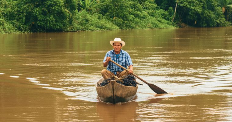 Colheita Sustentável