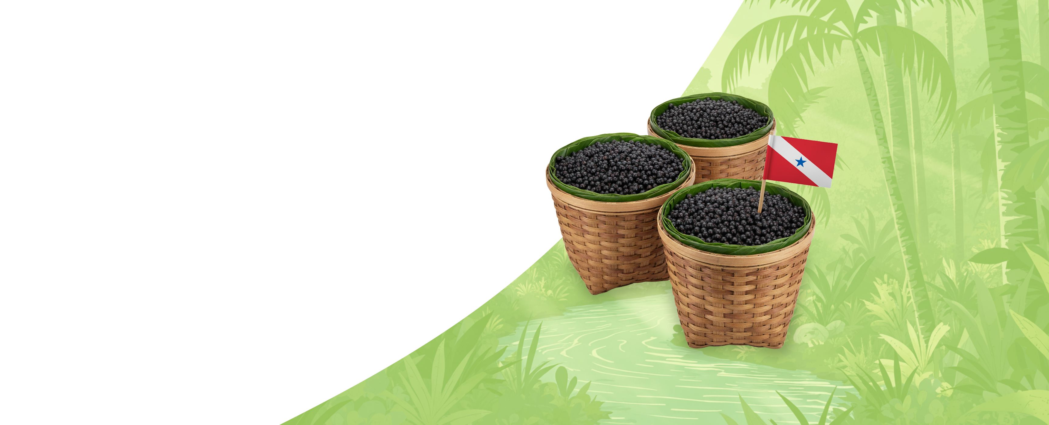 Plano de fundo principal 