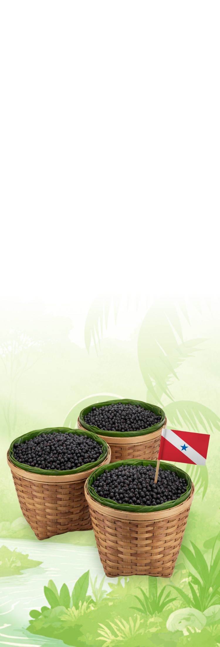 Plano de fundo principal 